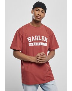 Men´s T-shirt short-sleeve // South Pole Harlem Tee brick red