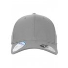 Baseball cap // Flexfit 110 Flexfit Pro-Formance grey